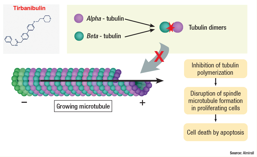 Commentary Tirbanibulin Ointment For Actinic Keratosis The